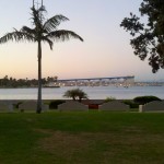 Coronado Bridge through palm trees